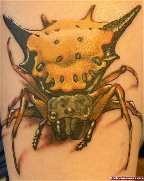 Dragon Spider Tattoo