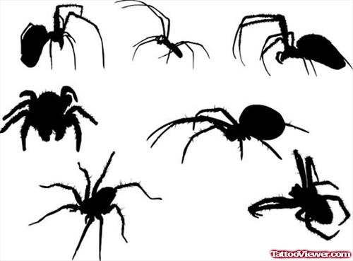 Black Spider Tattoo Designs Picture