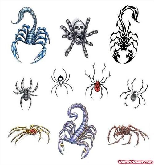 Amazing Spider And Scorpion Tattoo