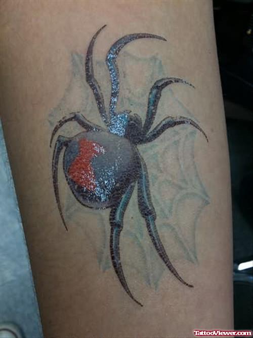 Spider And Web Colour Tattoo