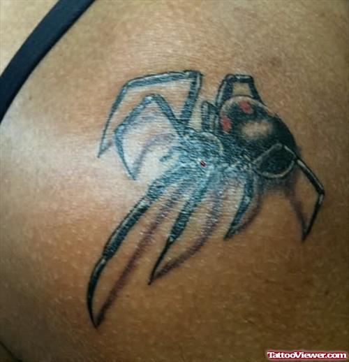Interesting Spider Tattoo For Body