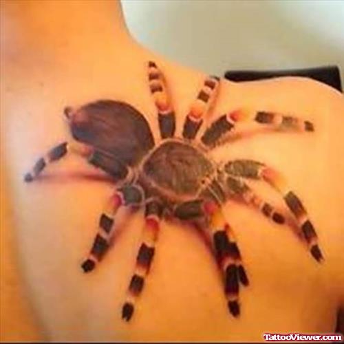 Awesome Spider Tattoo On Back