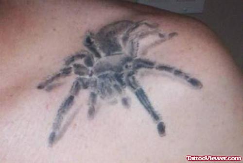 Spider Tattoo On Upper Shoulder