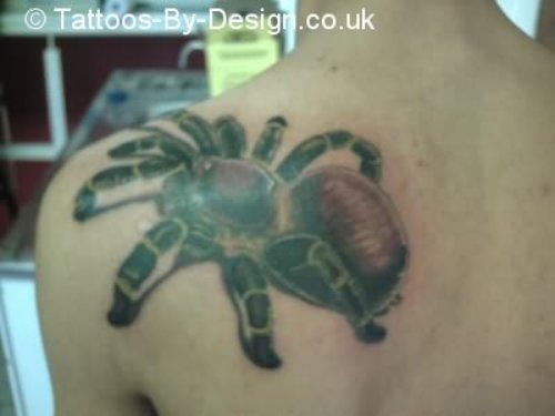 Bold Spider Tattoo On Back