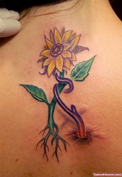 Sunflower Tattoo On Back Body