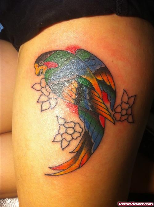 Awesome Colored Bird Tattoo On Thigh