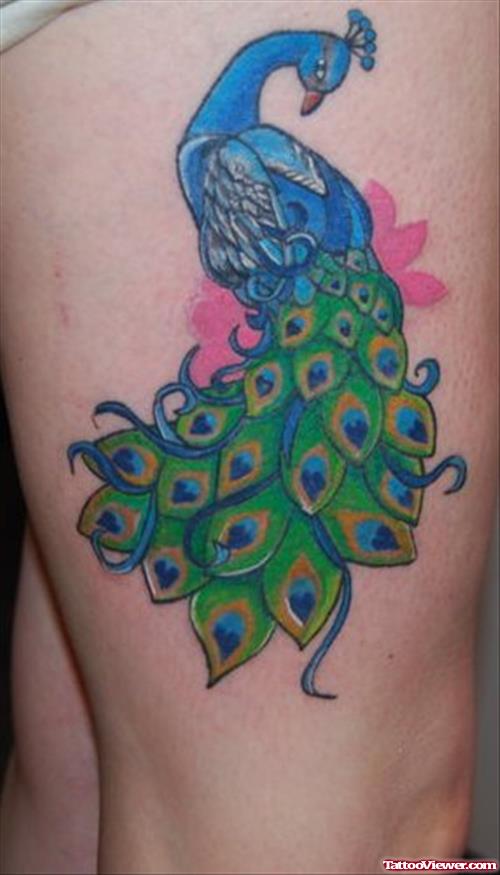 Awesome Colored Peacock Tattoo On Thigh