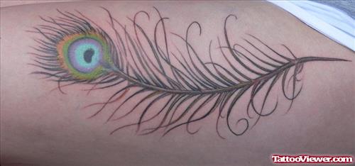 Colored Peacock Feather tattoo On Thigh