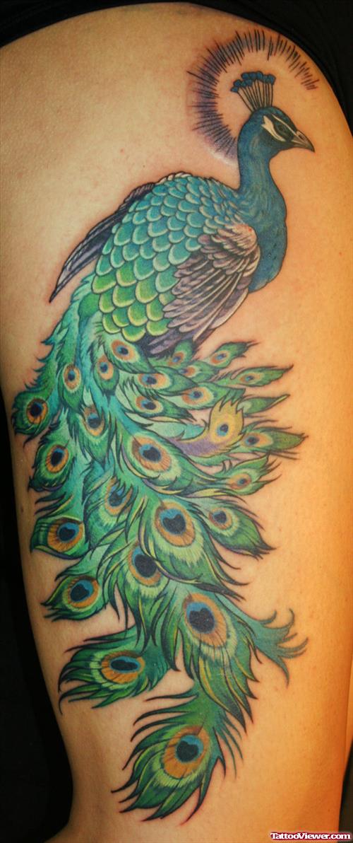 Attractive Colored Peacock Thigh Tattoo