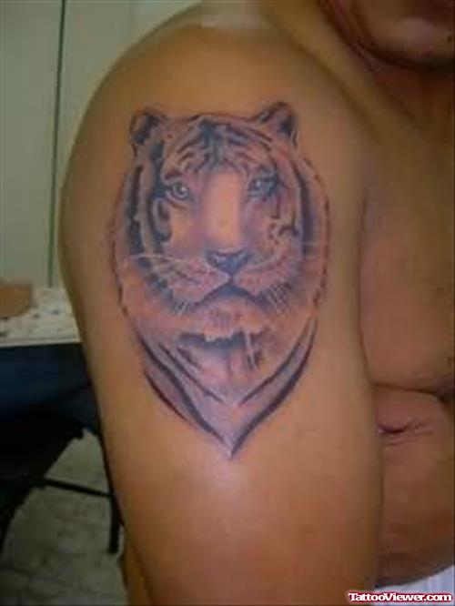 Grey Ink Tribal And Tiger Head Tattoo On Right Shoulder