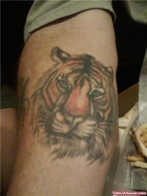 Grey Ink Tiger Head Tattoo On Arm