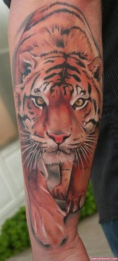 Color Ink Tiger Tattoo On Right Sleeve