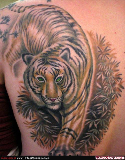 Beautiful Color Ink Tiger Tattoo On Back Body