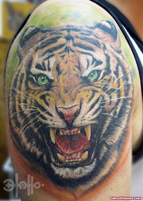 Angry Tiger Head Tattoo On Shoulder