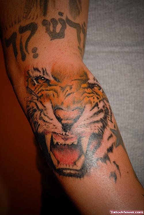 Angry Tiger Face Tattoo On Arm
