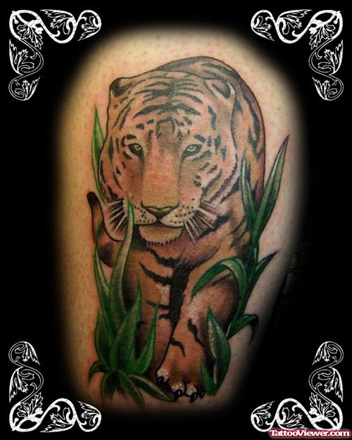 Color Ink Tiger Tattoo Design For women