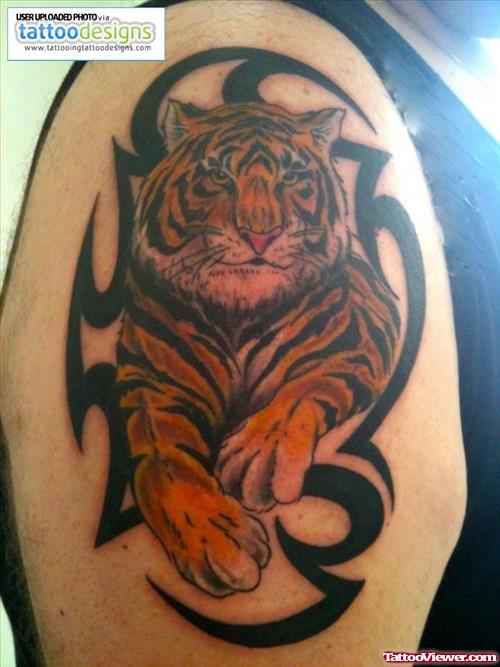 Black Tribal And Tiger Tattoo on Right Shoulder