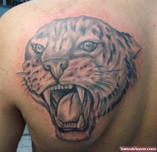 Grey Ink Tiger Tattoo On Left Back Shoulder