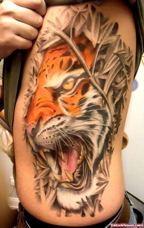 Colored Ink Tiger Head Tattoo On Left Side Rib