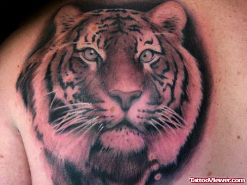 Amazing Grey Ink Tiger Tattoo On Left Back Shoulder