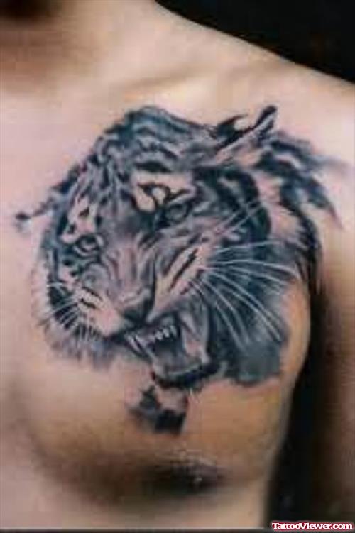 Tiger Tattoo On Man Left chest