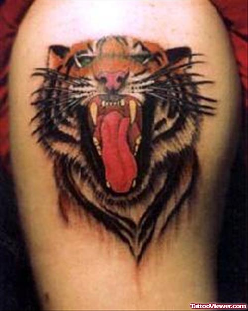 Naughty Tiger Head Tattoo On Shoulder
