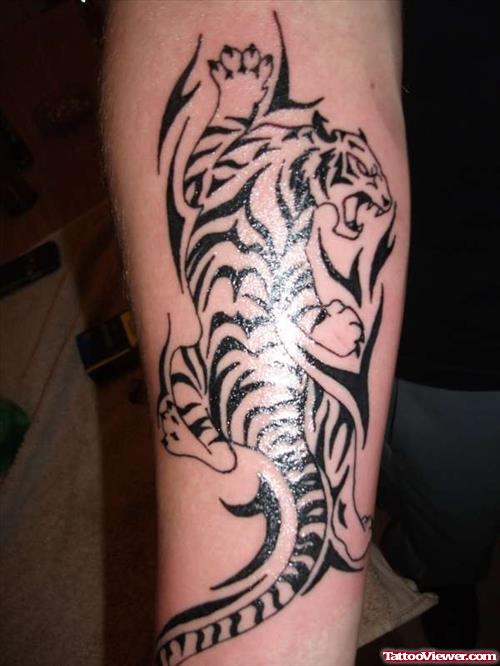 Black Ink Tribal Tiger Tattoo On Right Arm