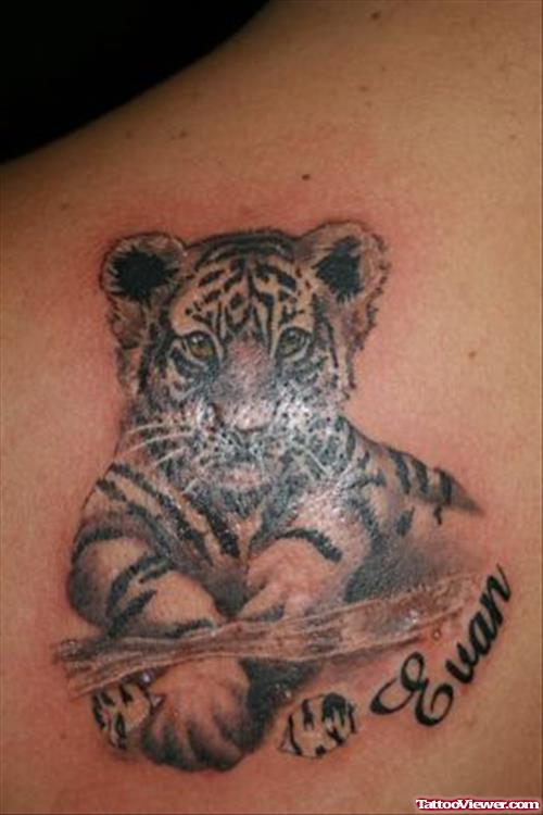 Awesome Grey Ink Tiger Tattoo On Left Back Shoulder