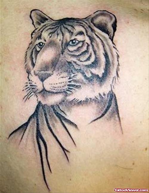 Wonderful Grey Ink Tiger Head Tattoo