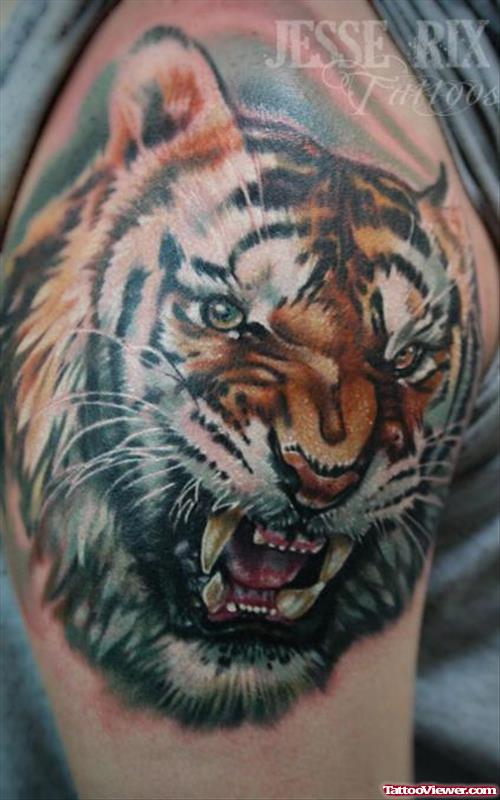 Tiger Head Tattoo On Right Shoulder