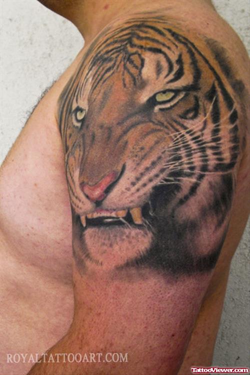 Left Shoulder Grey Ink Tiger Tattoo