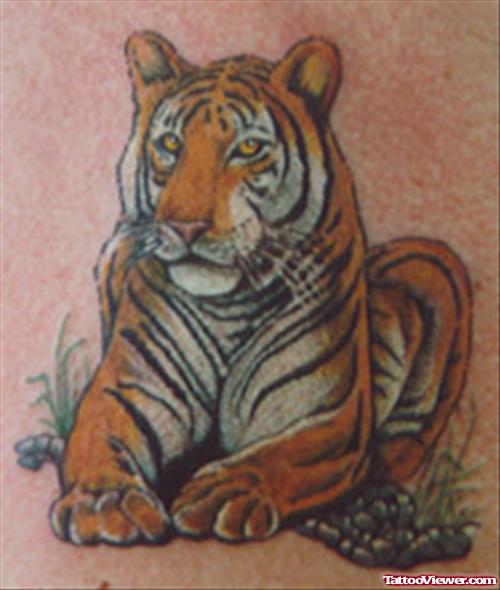 Cute Color Ink Tiger Tattoo