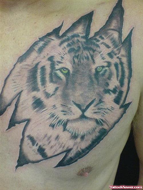 Crazy Grey Ink Tiger Tattoo On Man Chest