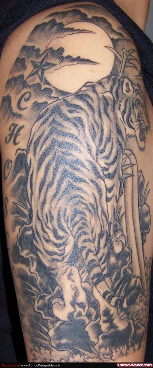 Tiger Tattoo Design For Half Sleeve