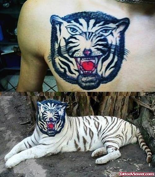 Tiger Head Tattoo On Man Chest