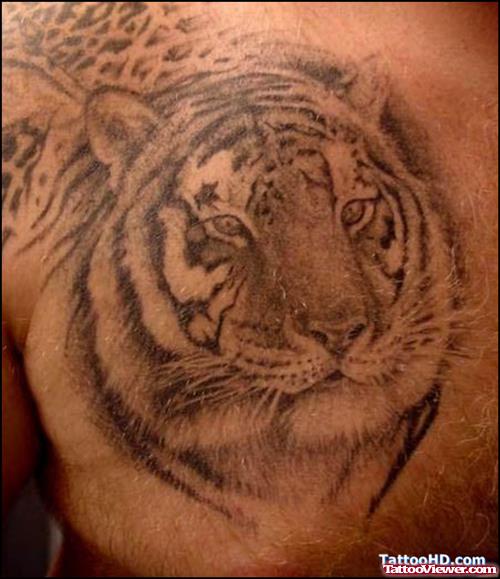 Wonderful Grey Ink Tiger Head Tattoo On Man Chest