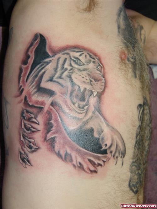 Rib Side Grey Ink Tiger Tattoo