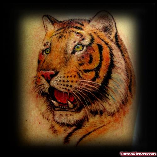 Color Ink Angry Tiger Head Tattoo