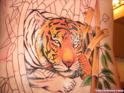 Tiger With Bamboo Tree Tattoo