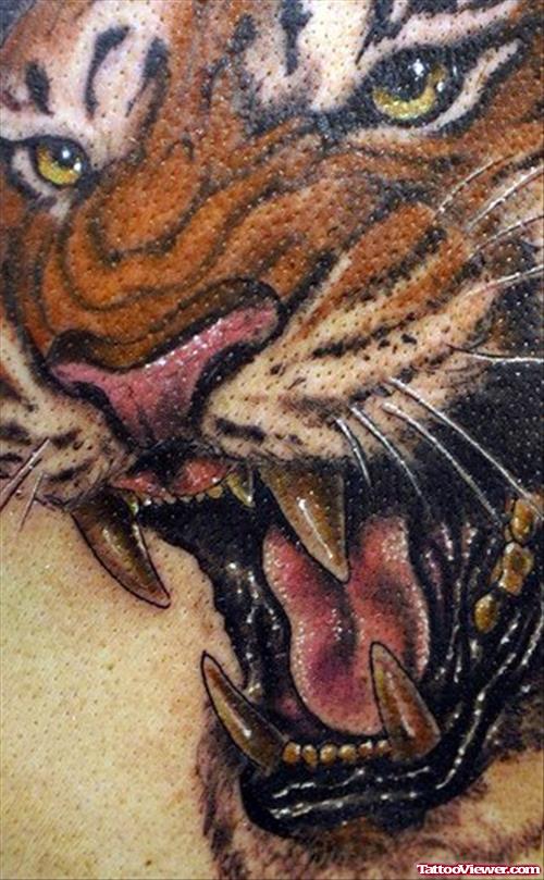 Tiger Face Closeup Tattoo