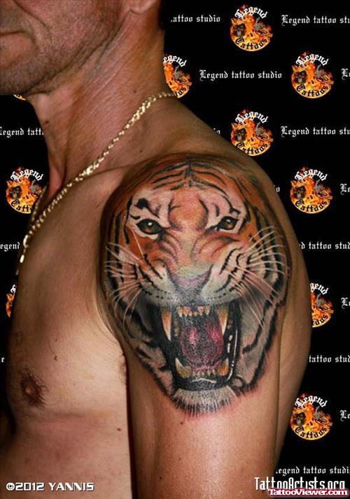 Man Left Shoulder Tiger Tattoo
