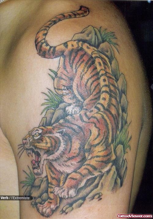 Left Shoulder Tiger Tattoo