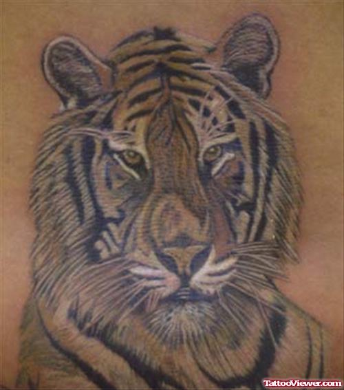 Grey Ink Tiger Head Tattoo For Men