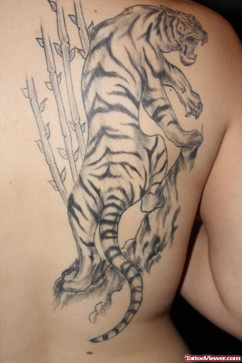 Beautiful Grey Ink Tiger Tattoo On Right Back Shoulder