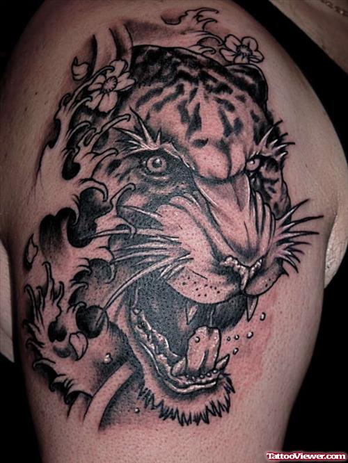 Awesome Grey Ink Tiger Head Tattoo On Right Shoulder