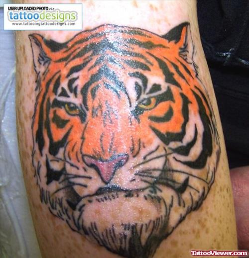 Wonderful Color Ink Tiger Head Tattoo
