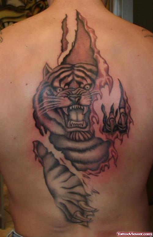 Ripped SKin Tiger Tattoo On Back Body