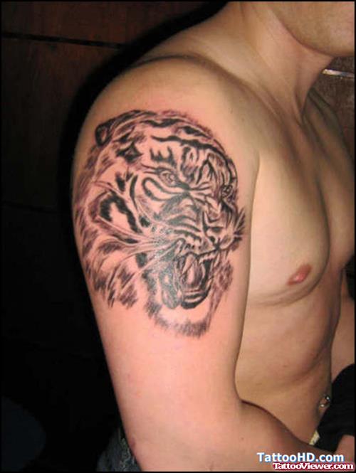 Grey Ink Tiger Head Tattoo On Man Right Shoulder