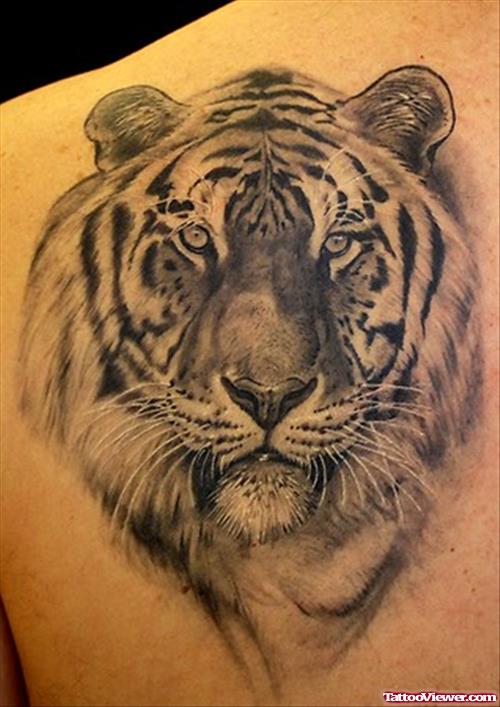 Amazing Grey Ink Tiger Head Tattoo On Back Shoulder