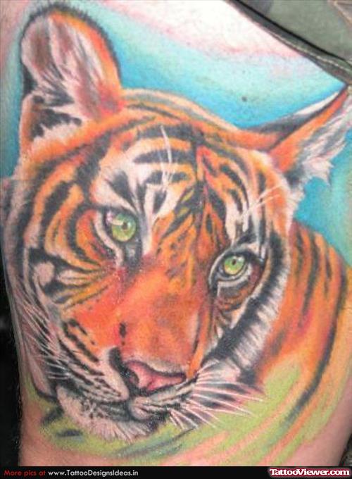 Simple Color Ink Tiger Head Tattoo